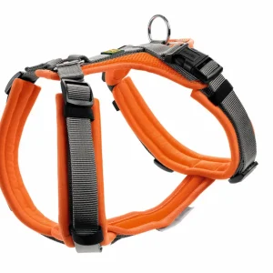 HUNTER Geschirr Maldon Up 37-53 / XS-S orange/grau Bestpreis